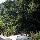 원포레스트 | 쿠팡 로켓 직구 캠핑용품 원포레스트 캠핑 캐리어 캐노피 테이블 사용 후기