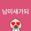미세스 그린 애플 내한 공연 첫콘 후기…🎸♡MGA LIVE in SEOUL, KOREA 2025♡
