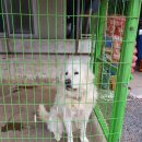 해마루숯불갈비 이미지