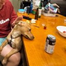 이모네도시락 | 리사이모를 그리워하며, 마우이 한인민박 (하와이 마우이 여행 숙소)