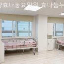 효나눔재가복지센터 | 남양읍요양원 남양효나눔요양원 효나눔누리재가복지센터 서비스잘하는곳