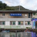 강원수산횟집 이미지