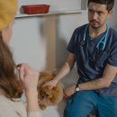 마리동물병원 이미지