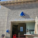 블루샥천안아르떼점 | 천안 불당동 블루샥커피 솔직 후기 – 가격, 분위기, 단점까지!