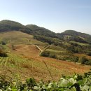 김성호농장 이미지