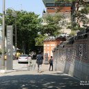 세종의 신악 - 뿌리 깊은 나무 샘이 깊은 물 | 국립국악원 공연 후기! 세종의 신악 - 뿌리 깊은 나무 샘이 깊은 물