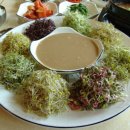 새싹의 아침 이미지