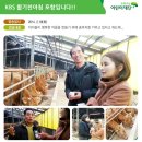 정세영농장 네이버블로그