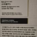 수하콜렉션