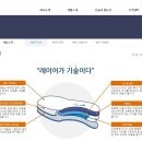 페도솔루션 이미지