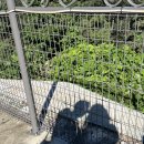 조규웅내과의원 이미지