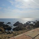 주전월남정화장실 이미지