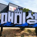가덕도 동백군락지 | 거제도 여행, 거제 대표 핫플, 인생샷 찍기 좋은 매미성 방문 후기 (+주차 정보)