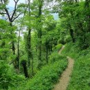 진주에나길 2코스 이미지