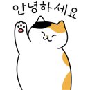 주식회사 비엠모터스 이미지