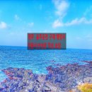 보답 행정사 이미지