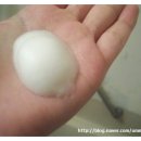 진이컴퍼니 이미지