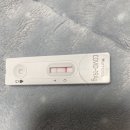 스노우폭스 미사강변점 이미지