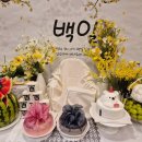 천안 백일잔치 (승지원, 떡미당 , 백일상) 후기