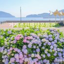 조선해양문화관 | 경남 거제 지세포 수국 명소 거제조선해양문화관 개화상황 주차장 정보 후기