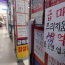 강남삼성부동산공인중개사사무소 이미지