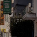 수원-0049 이미지