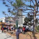 온양1동 시민로 이미지