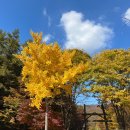 양주산막골캠핑장 이미지