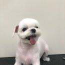 바르다 펫 부산센텀점 이미지