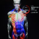 안젤라필라테스