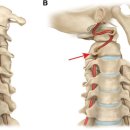 오륙도신경외과의원 이미지