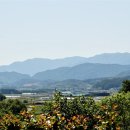 복내면행정복지센터 이미지