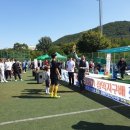 용인대 힘찬KTIGERS 태권도 이미지