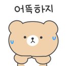 호림신발