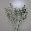 화인상사 이미지