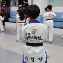 경희대 효도태권도장 | 아이의 체력을 기르고 인성을 향상시키는 동탄 지역 어린이 태권도장