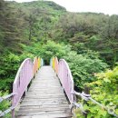 국립가리왕산자연휴양림 이미지