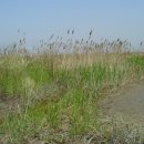 산골낚시터 이미지