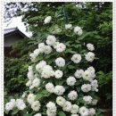 서흥농장 이미지