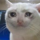 선유도바로튼튼의원 이미지