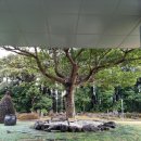 탐라정 | 서귀포호텔 숙박, 편의점과 탐라정 이용후기