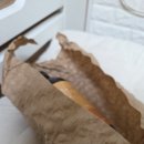 은은한 편백나무 향기🌲 그린나라 피톤치드 편백수탈취제 효과 사용 후기