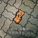 태화한의원 | 2025년 3월의 정리📑