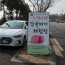 느영나영민박 이미지