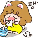 브니엘플라워 이미지