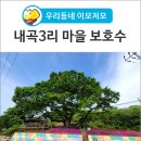 내곡3리 네이버블로그