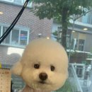 미용해·독 이미지