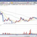 네오캣 스튜디오 이미지