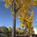 화백 | 국립현대미술관 ‘물방울 화가’ 김창열 화백 회고전 후기