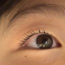 맑음속눈썹 | 의정부속눈썹 맑음뷰티 속눈썹펌 후기 (쌍커풀 없어도 미모 업그레이드 성공)